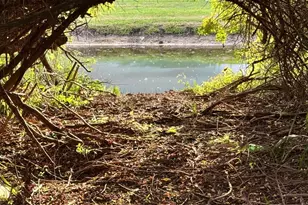 11521 Southern Creek Dr, Gibsonton, FL 33534 - Photo 7