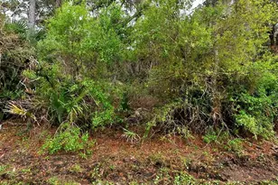 Hurdle Rd, North Port, FL 34291 - Photo 1