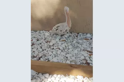 311 58th Avenue E, Bradenton, FL 34203 - Photo 87