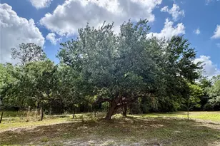 15580 Co Rd 675, Parrish, FL 34219 - Photo 19