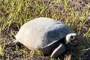 8152 St Kitts Cir, Englewood, FL 34224 - Photo 31