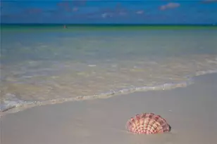 708 42nd St, Sarasota, FL 34234 - Photo 59