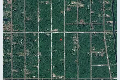 10625 Turpin Avenue, Hastings, FL 32145 - Photo 5