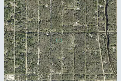 10625 Turpin Avenue, Hastings, FL 32145 - Photo 3
