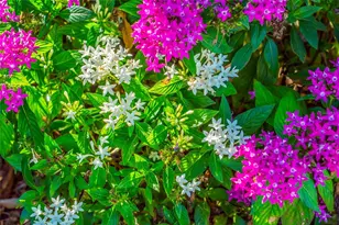 5709 Tidewater Preserve Blvd, Bradenton, FL 34208 - Photo 85