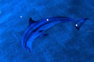 15531 Trinity Fall Way, Bradenton, FL 34212 - Photo 9