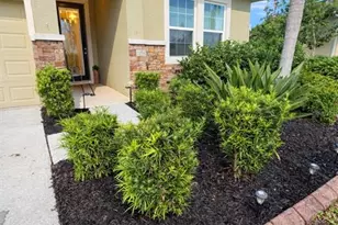 15531 Trinity Fall Way, Bradenton, FL 34212 - Photo 3