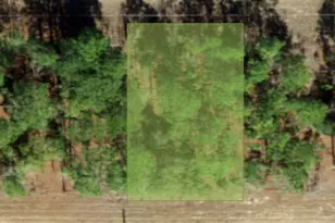 554 W Glenhaven Dr, Citrus Springs, FL 34434 - Photo 1