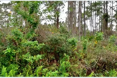 Jacaranda Avenue, North Port, FL 34291 - Photo 3