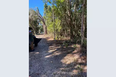 0 NW 185th Street, Citra, FL 32113 - Photo 3