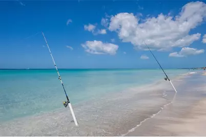 3804 Gulf Of Mexico Drive #B305, Longboat Key, FL 34228 - Photo 41