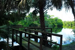 15458 Mulholland Rd, Parrish, FL 34219 - Photo 49