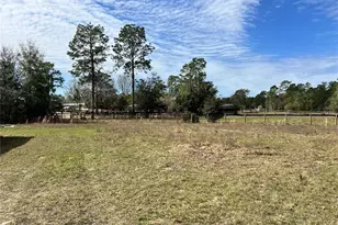 3038 SW 165th Avenue Rd, Ocala, FL 34481 - Photo 5