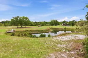 26920 Brandiff Road E, Myakka City, FL 34251 - Photo 63