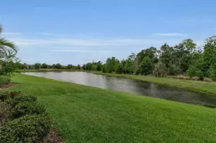 4521 Deep Creek Terrace, Parrish, FL 34219 - Photo 29