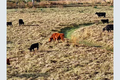 8765 Daybreak Street, Sarasota, FL 34241 - Photo 75