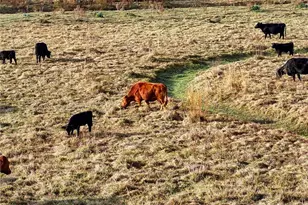 8765 Daybreak St, Sarasota, FL 34241 - Photo 75