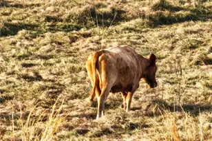 8765 Daybreak St, Sarasota, FL 34241 - Photo 77