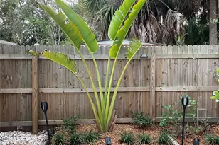 828 S Tuttle Ave, Sarasota, FL 34237 - Photo 31