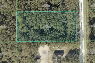 8223 Chimney Rock Dr, Ridge Manor Estates, FL 33597 - Photo 1