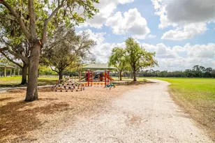 13339 Swallowtail Dr, Lakewood Ranch, FL 34202 - Photo 57