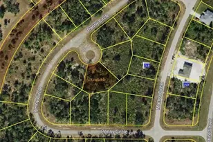 Penny Circle, North Port, FL 34288 - Photo 1