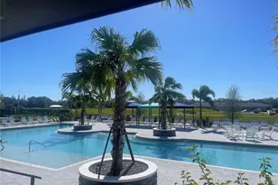 11682 Bluestone Ct, Parrish, FL 34219 - Photo 23