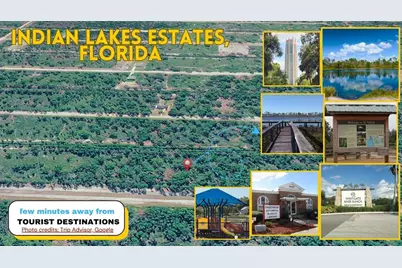 Tbd Lot 20 Japonica Avenue, Indian Lake Estates, FL 33855 - Photo 9