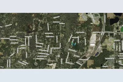 31-25-20-0100-069N0-0000 Olcott Drive, Wesley Chapel, FL 33544 - Photo 3