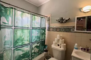 223 N Monroe Ave, Arcadia, FL 34266 - Photo 39