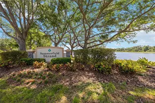 6446 Barberry Ct, Lakewood Ranch, FL 34202 - Photo 41