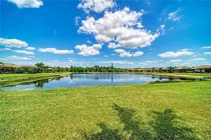 113 Wandering Wetlands Cir, Bradenton, FL 34212 - Photo 41