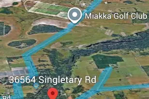 36564 Singletary Rd, Myakka City, FL 34251 - Photo 1