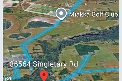 36564 Singletary Road, Myakka City, FL 34251 - Photo 5