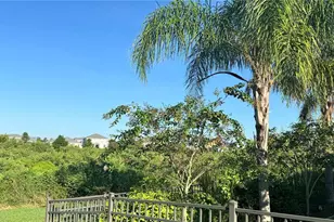13638 Old Creek Ct, Parrish, FL 34219 - Photo 41