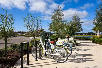 11710 Little River Way, Parrish, FL 34219 - Photo 47
