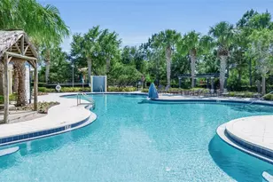 13225 Waterleaf Garden Cir, Riverview, FL 33579 - Photo 65
