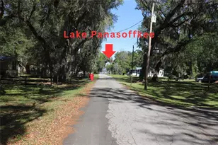 2466 Cr 401A, Lake Panasoffkee, FL 33538 - Photo 3