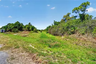 Custer Circle, North Port, FL 34288 - Photo 9