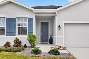 8717 Corkscrew Crossing, Parrish, FL 34219 - Photo 11
