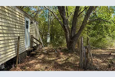 11281 NE 64th Place, Williston, FL 32696 - Photo 3