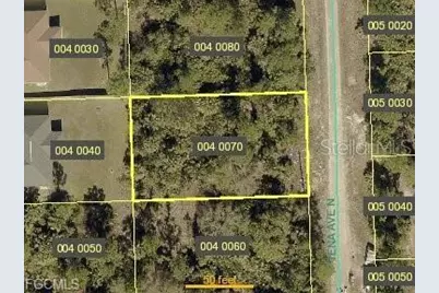 6003 Tena Avenue N, Lehigh Acres, FL 33971 - Photo 1