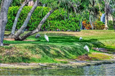 1846 Amberwynd Circle W, Palmetto, FL 34221 - Photo 25