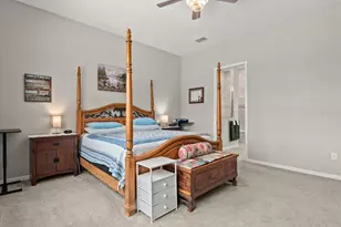 8510 Coastal Palms Gln, Parrish, FL 34219 - Photo 27