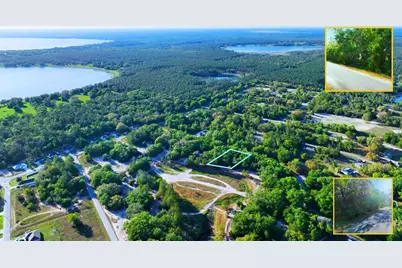 Tbd Malauka Radial, Ocklawaha, FL 32179 - Photo 5