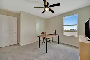 1257 Maritime Hammock Ave, Ruskin, FL 33570 - Photo 71