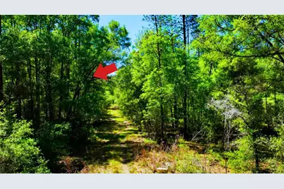 Tbd SW 24th Place, Ocala, FL 34481 - Photo 11