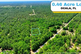 Tbd SW 24th Pl, Ocala, FL 34481 - Photo 1