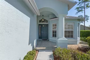 18236 Webster Grove Dr, Hudson, FL 34667 - Photo 5