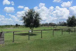 46365 State Road 64 E, Myakka City, FL 34251 - Photo 41